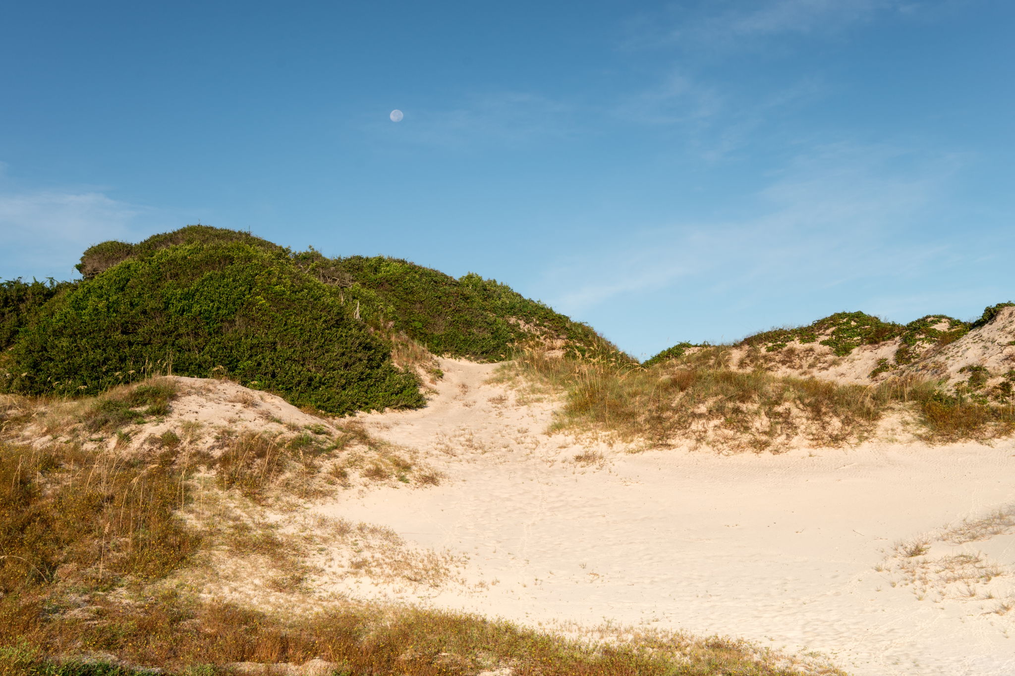 103-web-or-mls-1_American Beach Nana Dunes Hi-Res