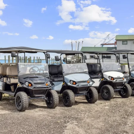 Tidal Wave Golf Cart Rentals